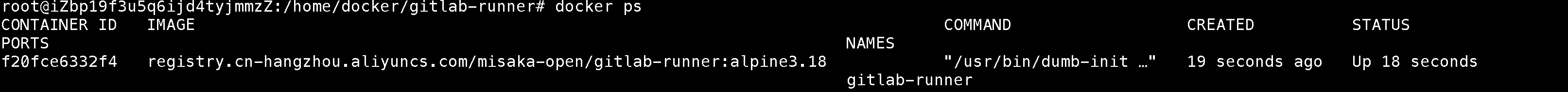 image-20241220210654105